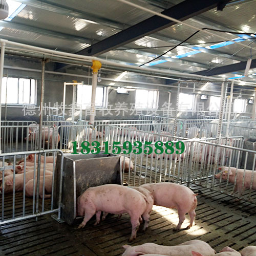 养猪料线厂家分享解密养猪料线都有哪些不同的类型