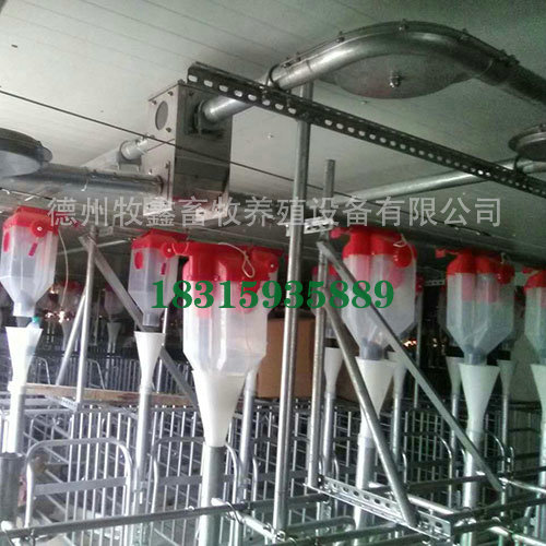 ���̰���